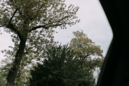 Rebecca Konrad • Hochzeitsfotografin Hamburg