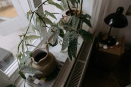 Rebecca Konrad • Hochzeitsfotografin Hamburg