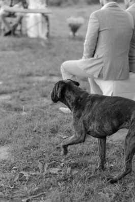 Rebecca Konrad • Hochzeitsfotografin Hamburg