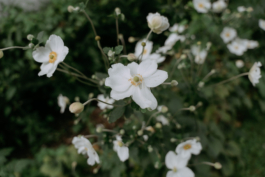 Rebecca Konrad • Hochzeitsfotografin Hamburg