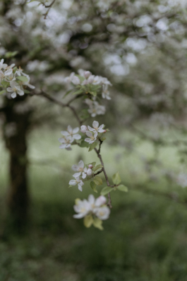 Rebecca Konrad • Hochzeitsfotografin Hamburg