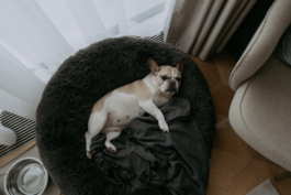 Rebecca Konrad • Hochzeitsfotografin Hamburg