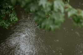 Rebecca Konrad • Hochzeitsfotografin Hamburg