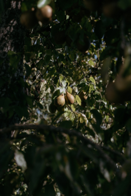 Rebecca Konrad • Hochzeitsfotografin Hamburg