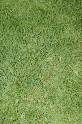 Rebecca Konrad • Hochzeitsfotografin Hamburg