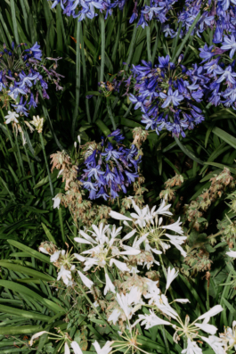 Rebecca Konrad • Hochzeitsfotografin Hamburg