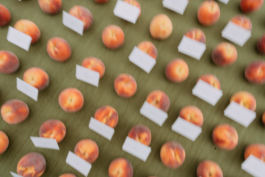 Rebecca Konrad • Hochzeitsfotografin Hamburg