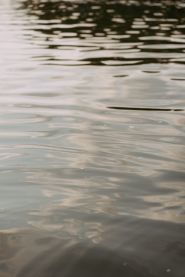 Rebecca Konrad • Hochzeitsfotografin Hamburg